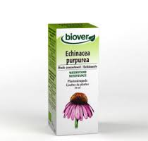 Biover Echinacea Purpurea 50ml