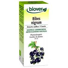 Biover Ribes Nigrum 50ml