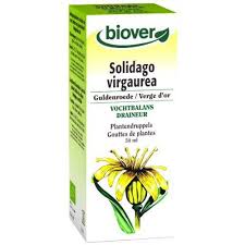 Biover Solidago Virgaurea 50ml