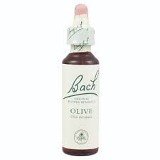 Floral de Bach Olive